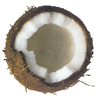 kokos