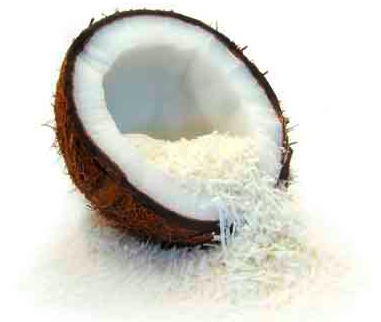 kokos1